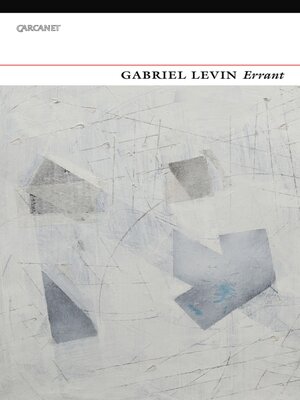 cover image of Errant